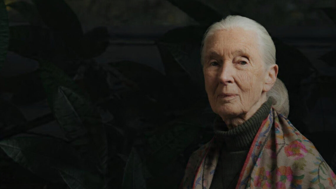 Jane Goodall
