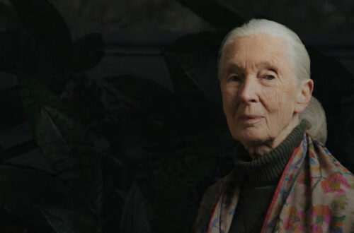 Jane Goodall